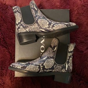 Coach Bowery Snake Bead Booties